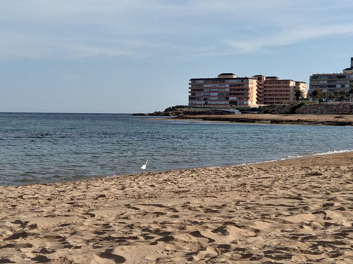 Ferienwohnung Torrevieja Exteriör bild